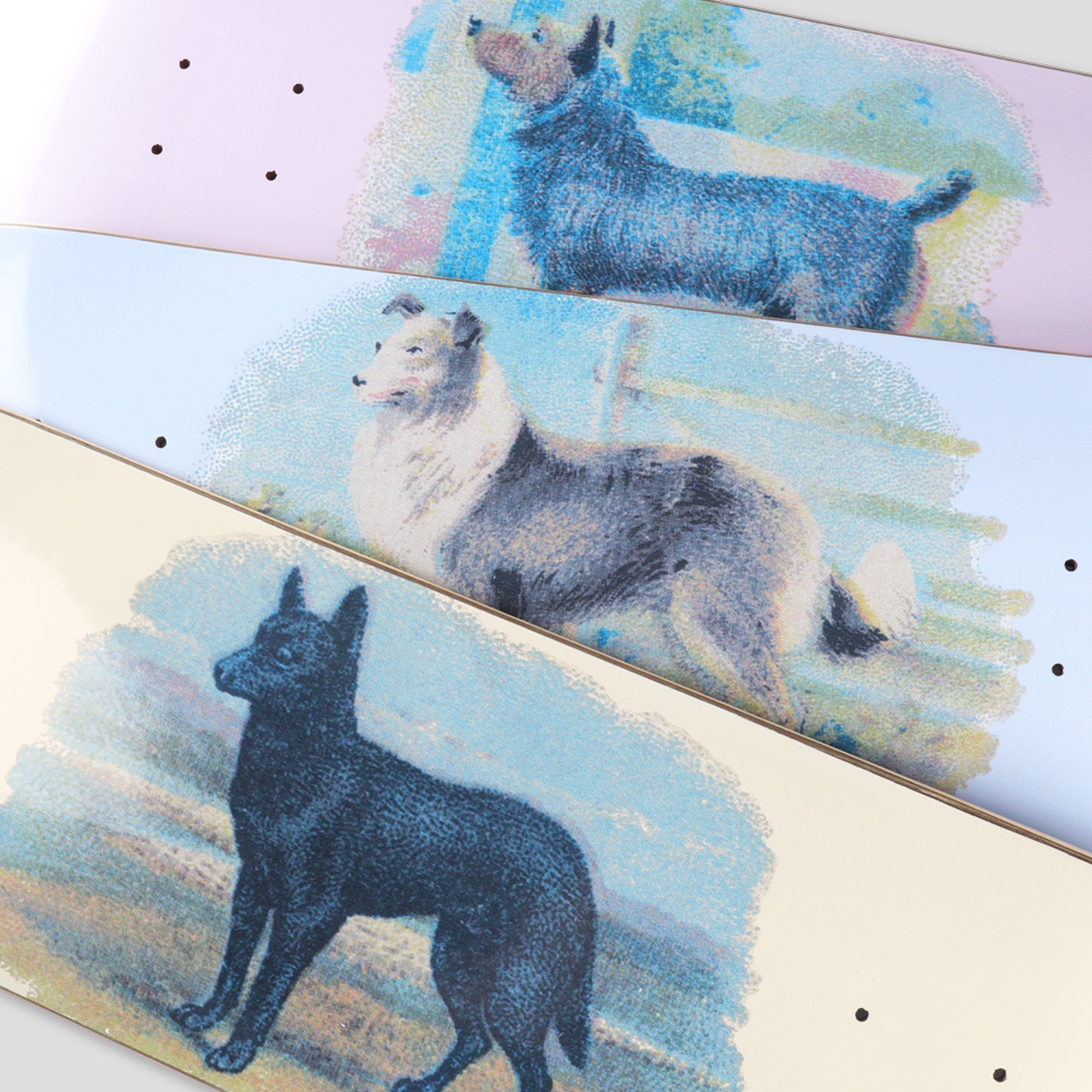 Pass~Port Hybrid Vigour Series - Terrier