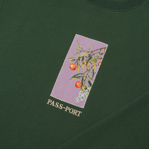 Pass~Port Quandong Sweater - Forest Green